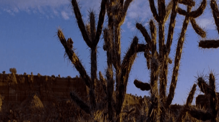 Screen Shot 2016-01-21 at 1.42.42 PM